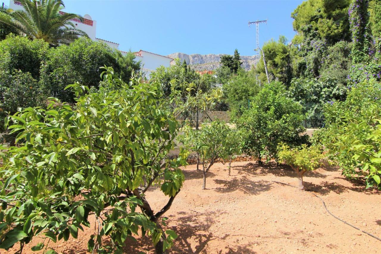 Villavenus Calpe Exterior photo