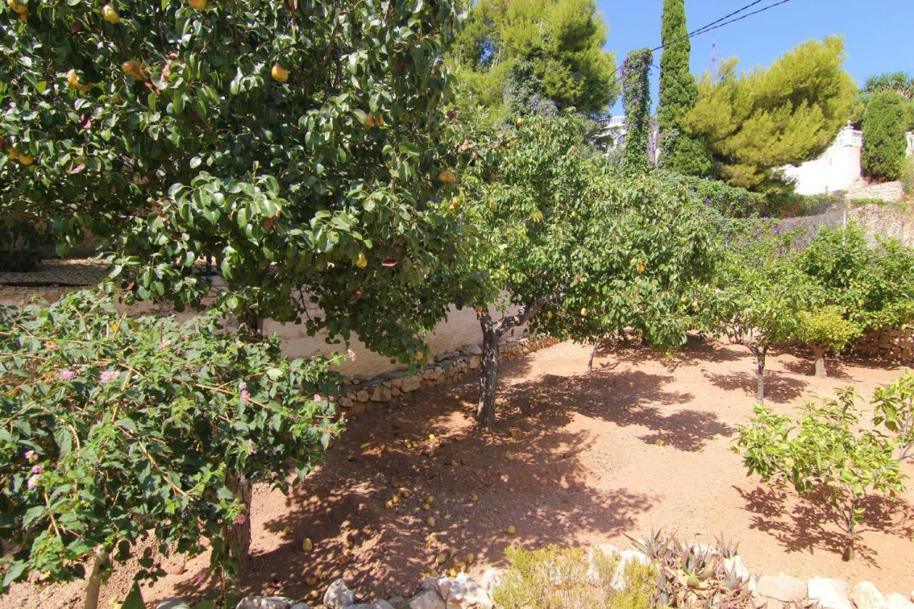 Villavenus Calpe Exterior photo